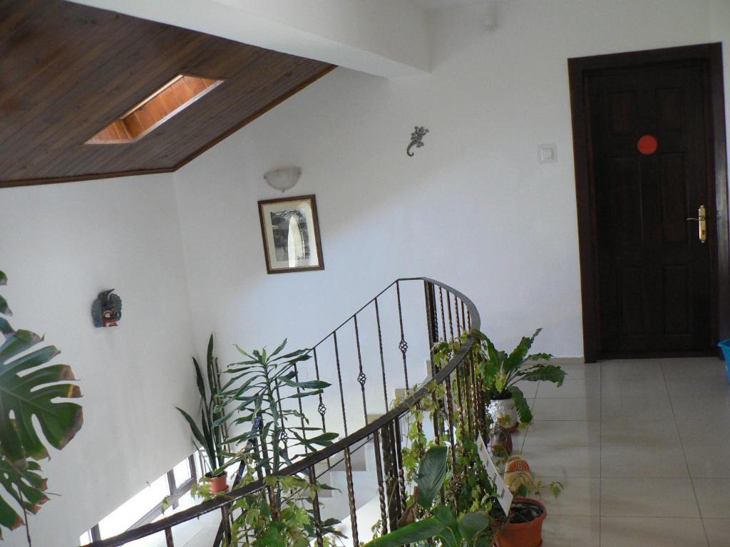 Casa Havana (Adults Only) كوستِنيست المظهر الخارجي الصورة