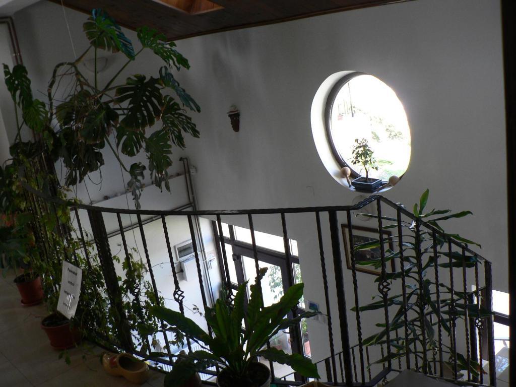 Casa Havana (Adults Only) كوستِنيست المظهر الخارجي الصورة