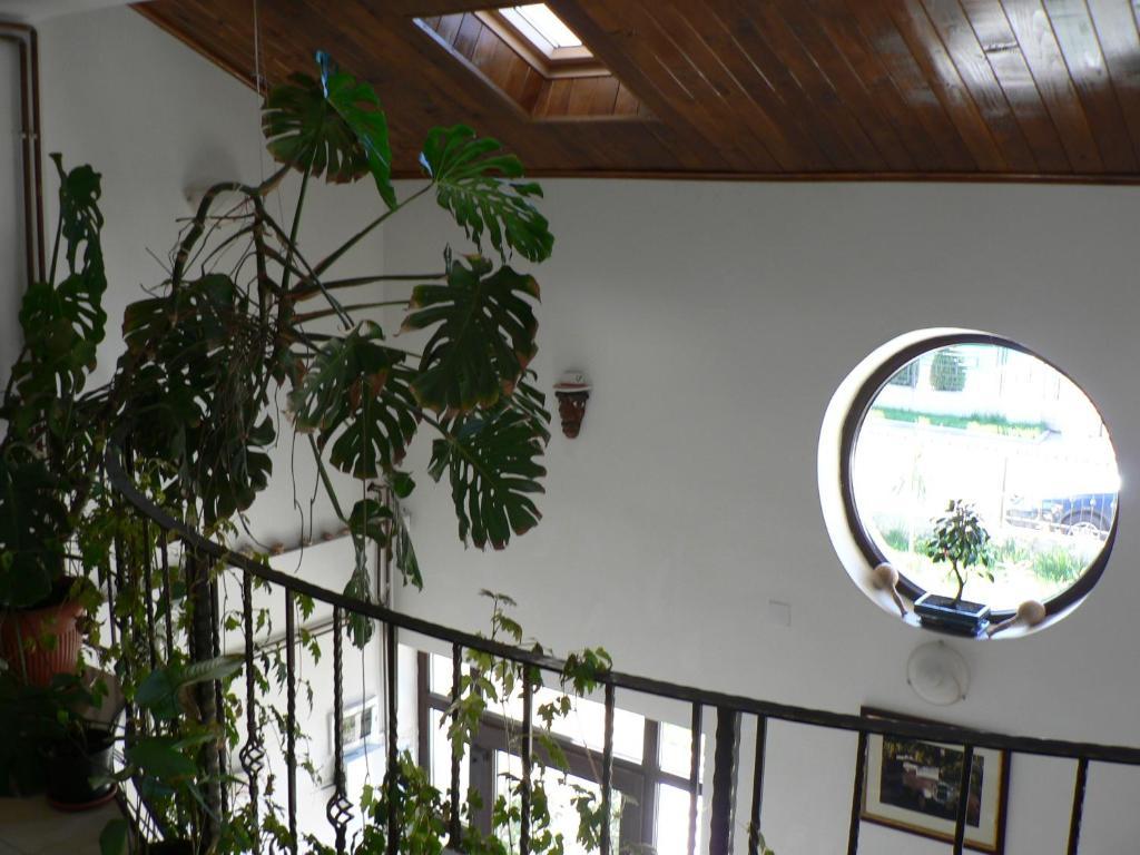 Casa Havana (Adults Only) كوستِنيست المظهر الخارجي الصورة