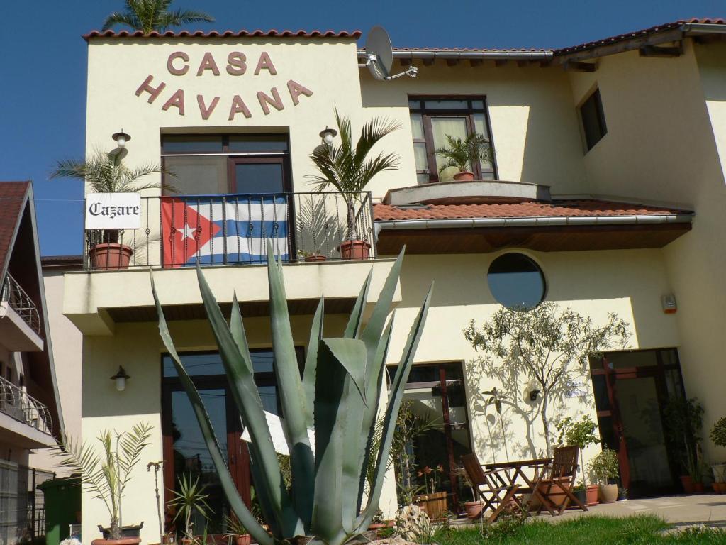 Casa Havana (Adults Only) كوستِنيست المظهر الخارجي الصورة