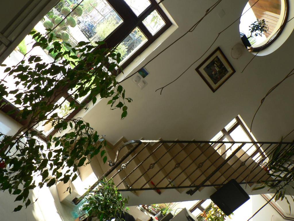 Casa Havana (Adults Only) كوستِنيست المظهر الخارجي الصورة