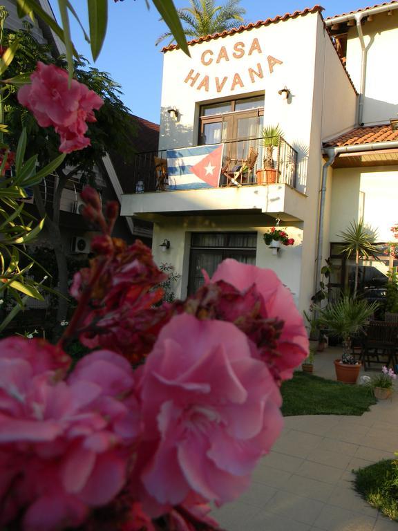 Casa Havana (Adults Only) كوستِنيست المظهر الخارجي الصورة