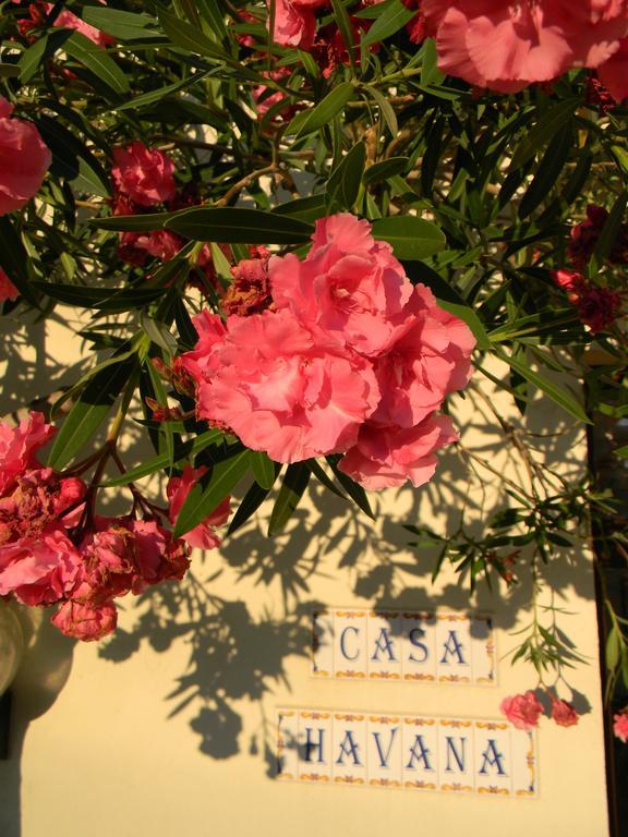 Casa Havana (Adults Only) كوستِنيست المظهر الخارجي الصورة